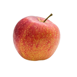 Fressen Marder Äpfel?